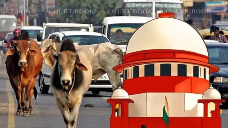 Stray Bull Attack | Supreme Court Awards ₹15 Lakh Compensation to Widow, Urges States to Create Mechanism for Victims of Cattle-Related Accidents